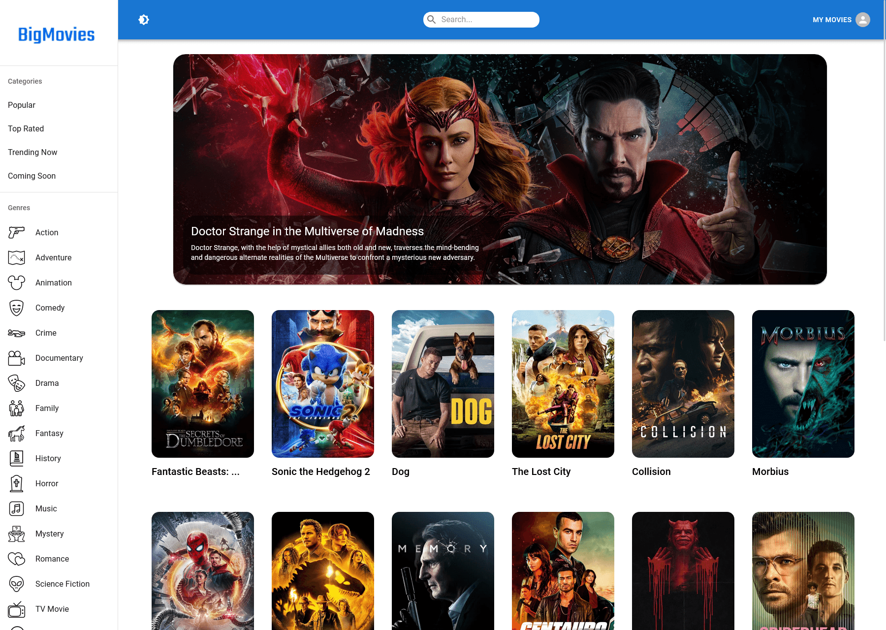 Big Movies project screenshot